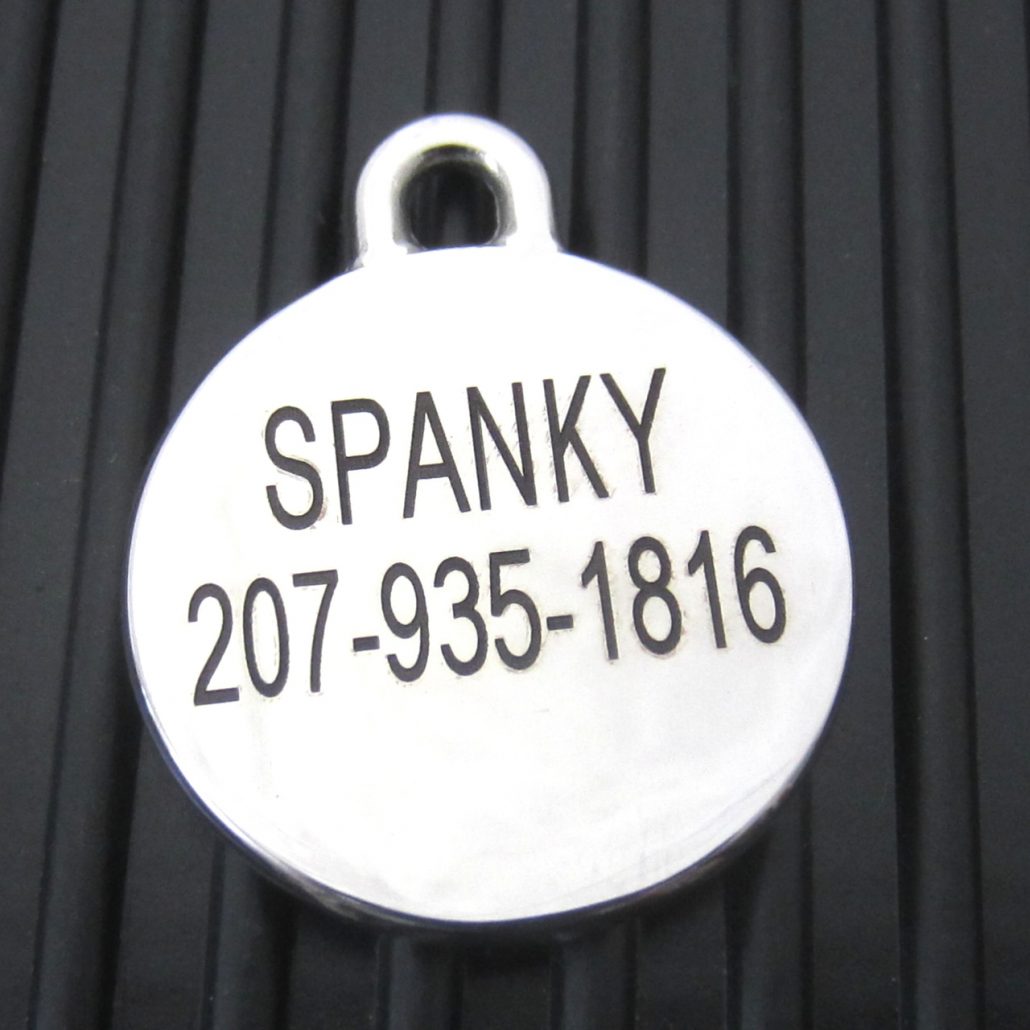 Stainless Steel Pet ID Tag-Medium Double Sided Blank - Silver Paw Pet Tags