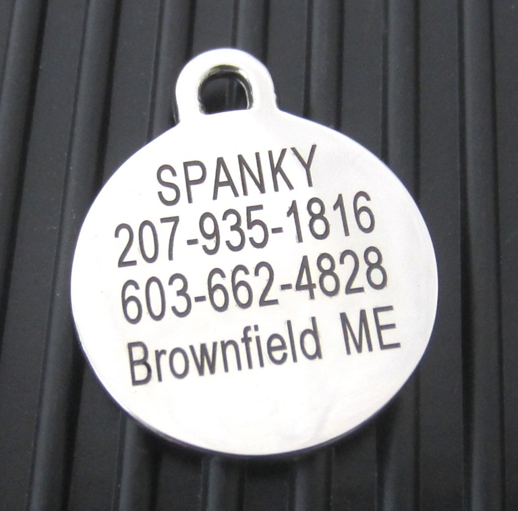 Stainless Steel Pet ID Tag-Medium Double Sided Blank - Silver Paw Pet Tags