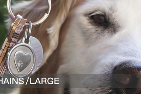 Large Engraved Pet Keychains