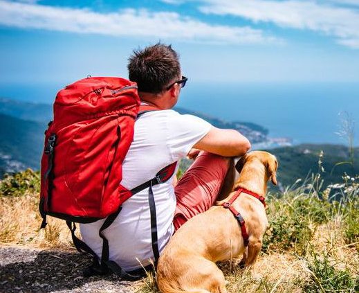 hiking dog tag