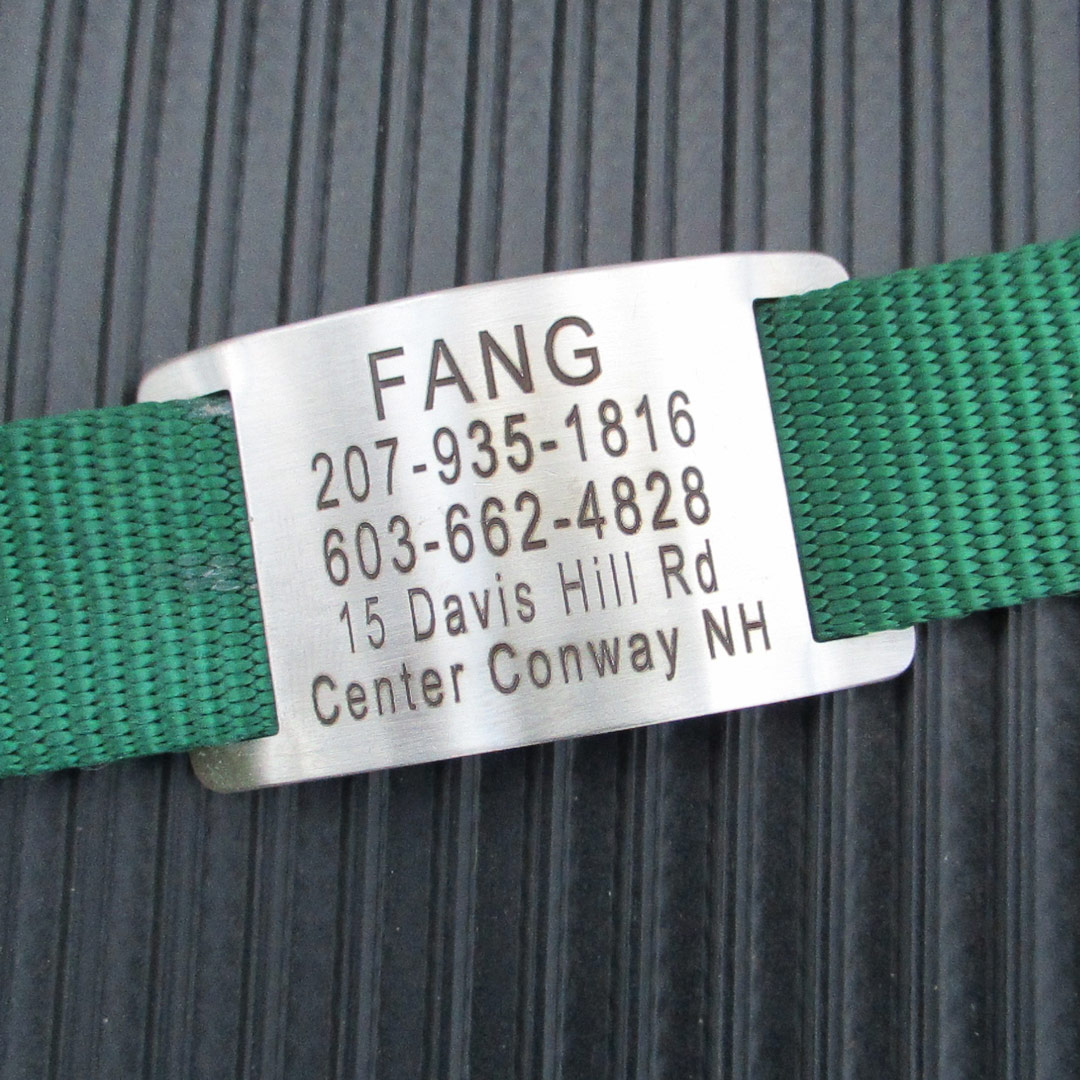 Slide on collar tag hotsell